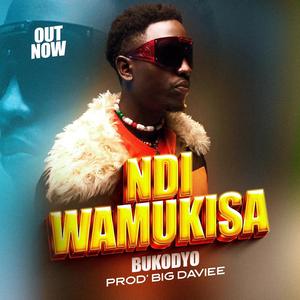 Ndi Wamukisa
