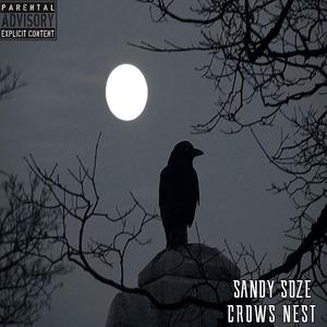 CROWS NEST
