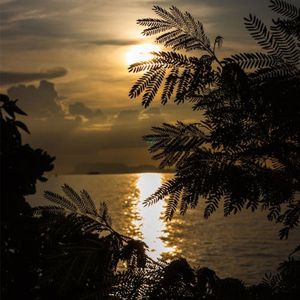 夜晚（纯音乐）