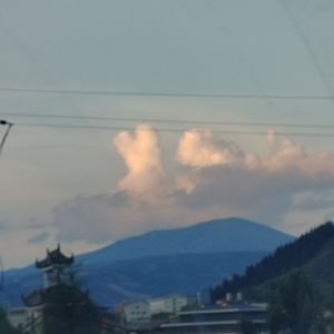 从那天起