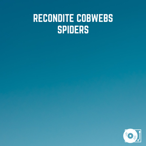 Spiders