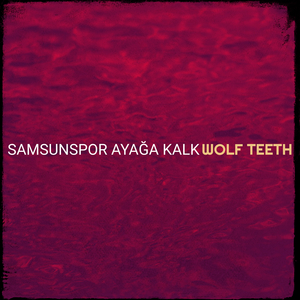 Samsunspor Ayağa Kalk