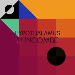 Hypothalamus Buncombe