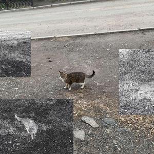 Мне противно