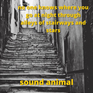 No One Knows Where You Go at Night Through Alleys of Stairways and Stars