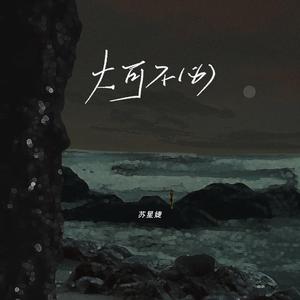 大可不必 (DJ铁柱版)