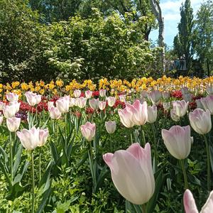 水上乐园（纯音乐）