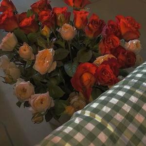 好人成佛八十一难