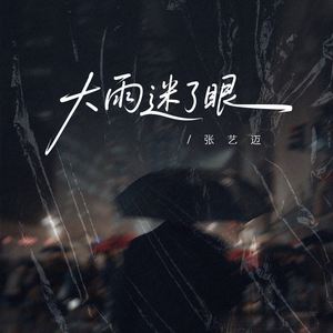 大雨迷了眼