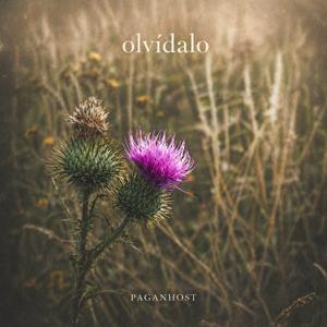 olvídalo
