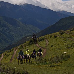 庄园的古典回响