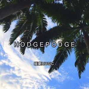 Hodgepodge（Mashup）（翻自 群星）