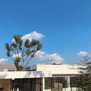 一起走很远的路就成了家人