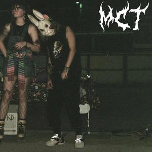 A letter to my gemini mind