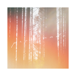 プロムナード (feat. トキトウメイ。)