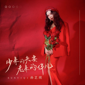 少来的夫妻老来的伴儿 (DJ伟然版)