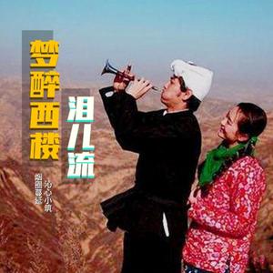 梦醉西楼泪儿流 (对唱版)