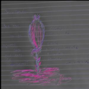 Cinórrodo (Devanear/Poema Bonitu)