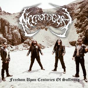 Freedom Upon Centuries of Suffering