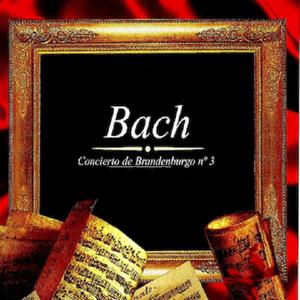 Orchestral Suite No. 2 in B minor, BWV 1067: II. Rondeau