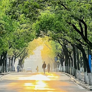 降噪-教室后排靠窗第三个座位