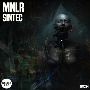 Sintec (Original Mix)