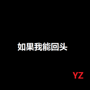 Sbazzo-如果我能回头（TLC-YZ remix）