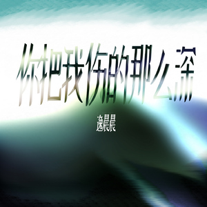 你把我伤的那么深