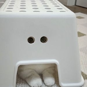 让我欢喜让我忧