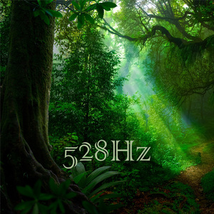 自由に飛ぶ鳥のように