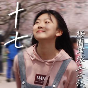 十七