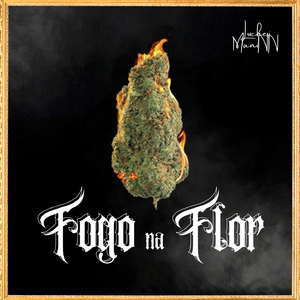 Fogo na Flor
