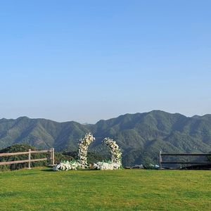 候鸟与岛屿