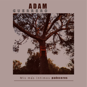 Vida después de la vida