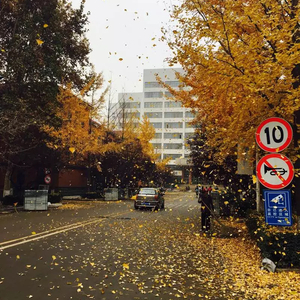 成都 山东科技大学济南校区版（翻自 赵雷）
