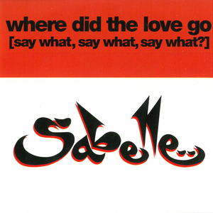 Where Did the Love Go (Say What, Say What, Say What)? (Original Mix)