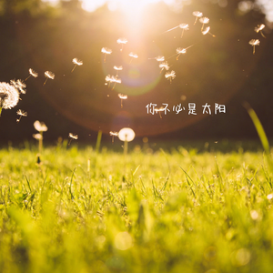 你不必是太阳