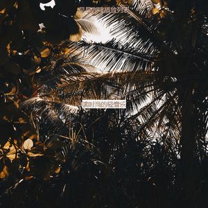 读时尚的轻音乐