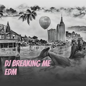 Dj Breaking Me Edm (Remix)