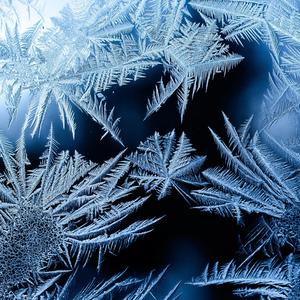 After The Leaves Fell (Slowed)