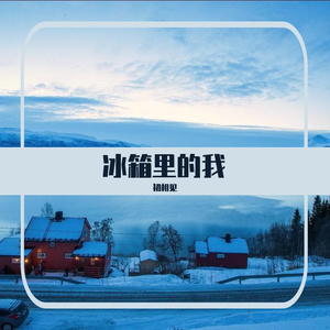 冰箱里的我