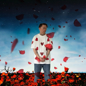 ภาพที่บาดตา