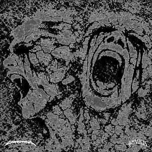 PETRIFICATION
