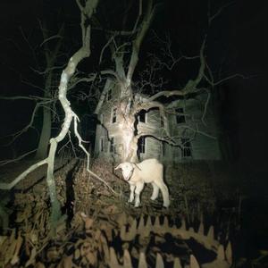 phantom of the opera (feat. fest)