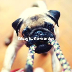 Hip Music for Weekday Dog Parties