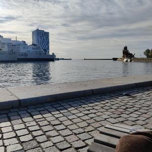 Stenhjärta (Kära dotter)