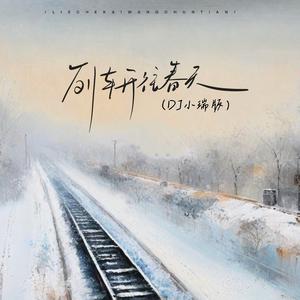 列车开往春天 (DJ小瑞版)