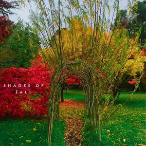 Shades of Fall