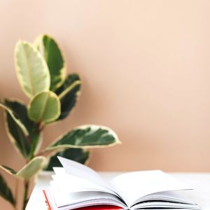 柔和的学习时刻