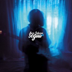 Seguir